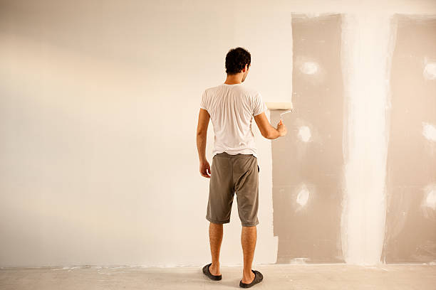 Trusted Downs, IL Dry wall and painting Experts